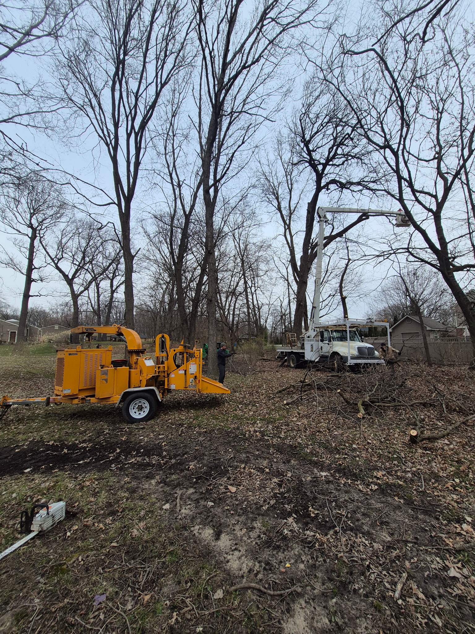 Big Father and Sons Tree Service llc in Wyandotte