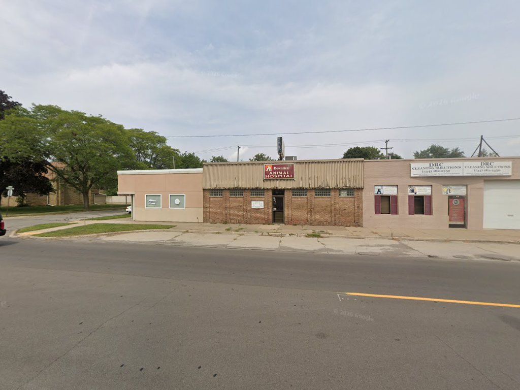 Downriver Animal Hospital — photo