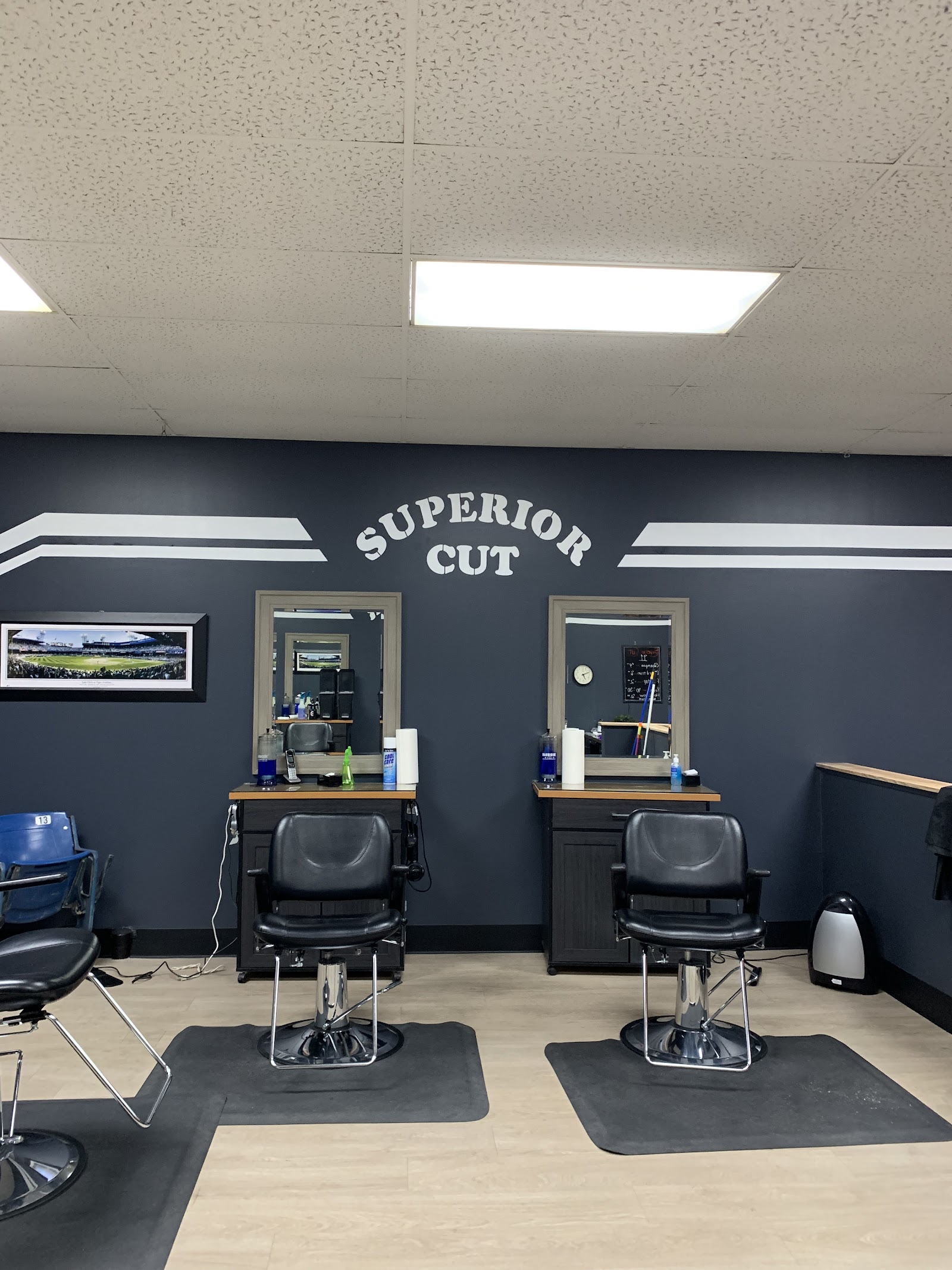 Superior Cut in Wyandotte