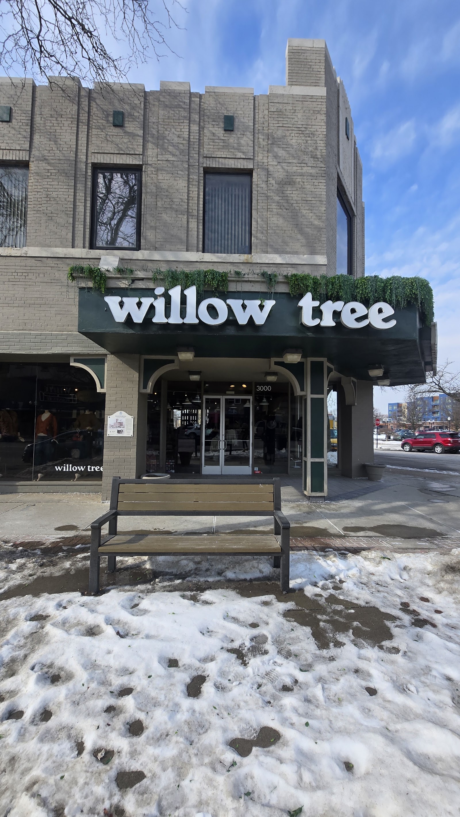 Willow Tree in Wyandotte