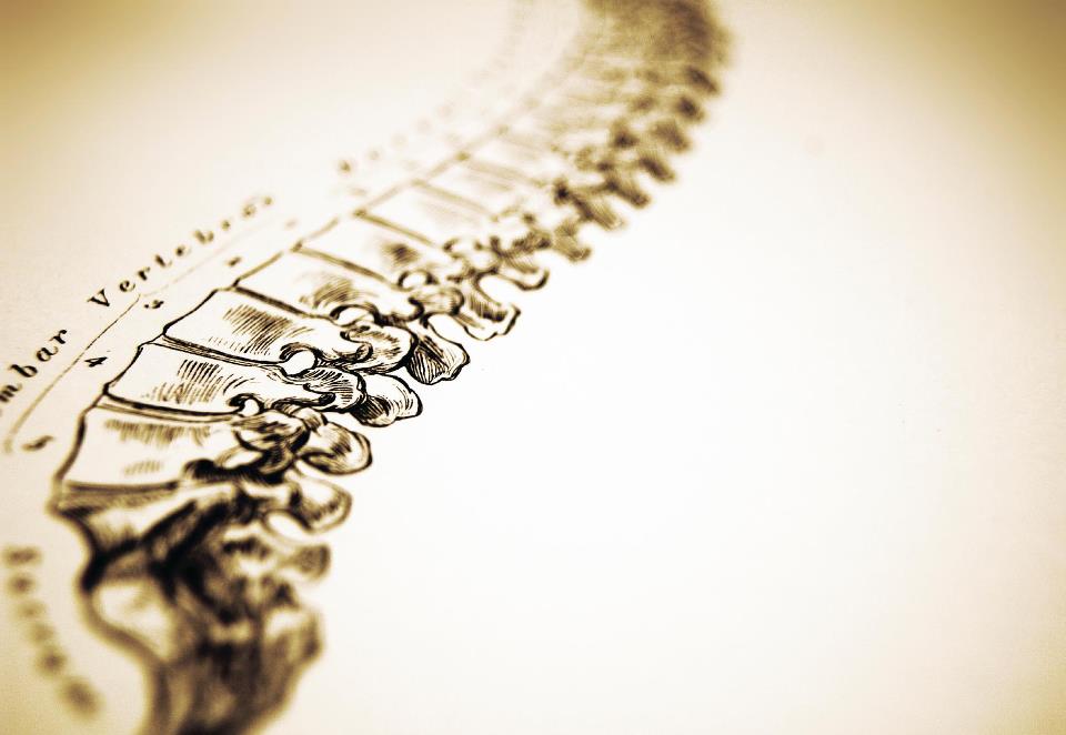 Wyandotte Chiropractic Clinic in Wyandotte